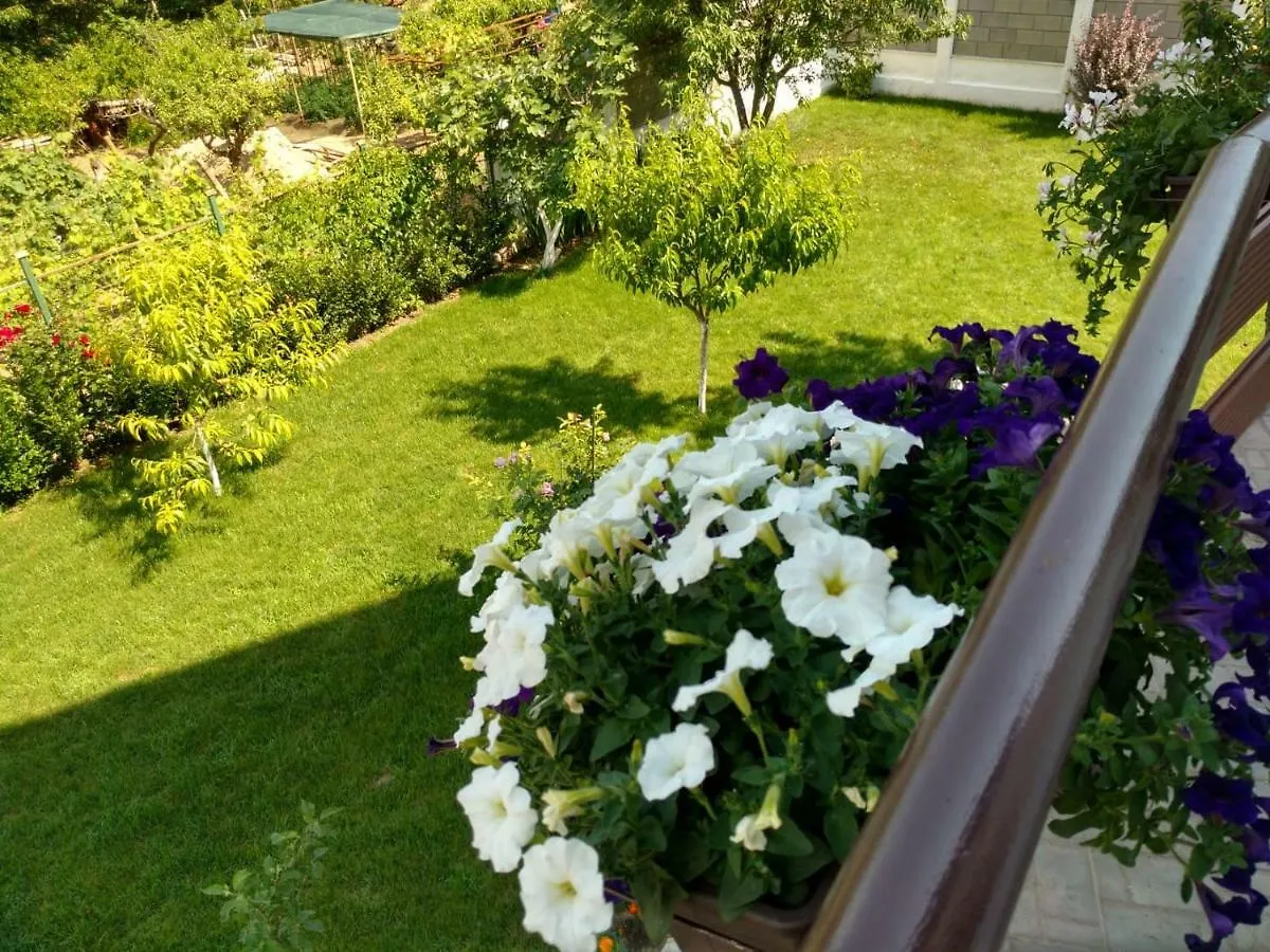 Apartments In Golden Sands Park Near The Sea Varna